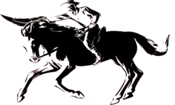 organizing memories into a clear life story